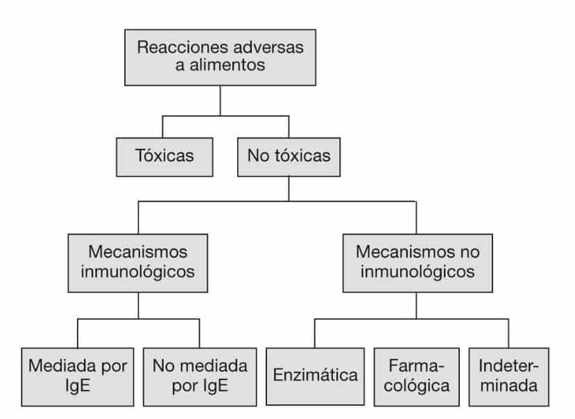 la imagen muestra diferentes tipos de reacciones alimentarias