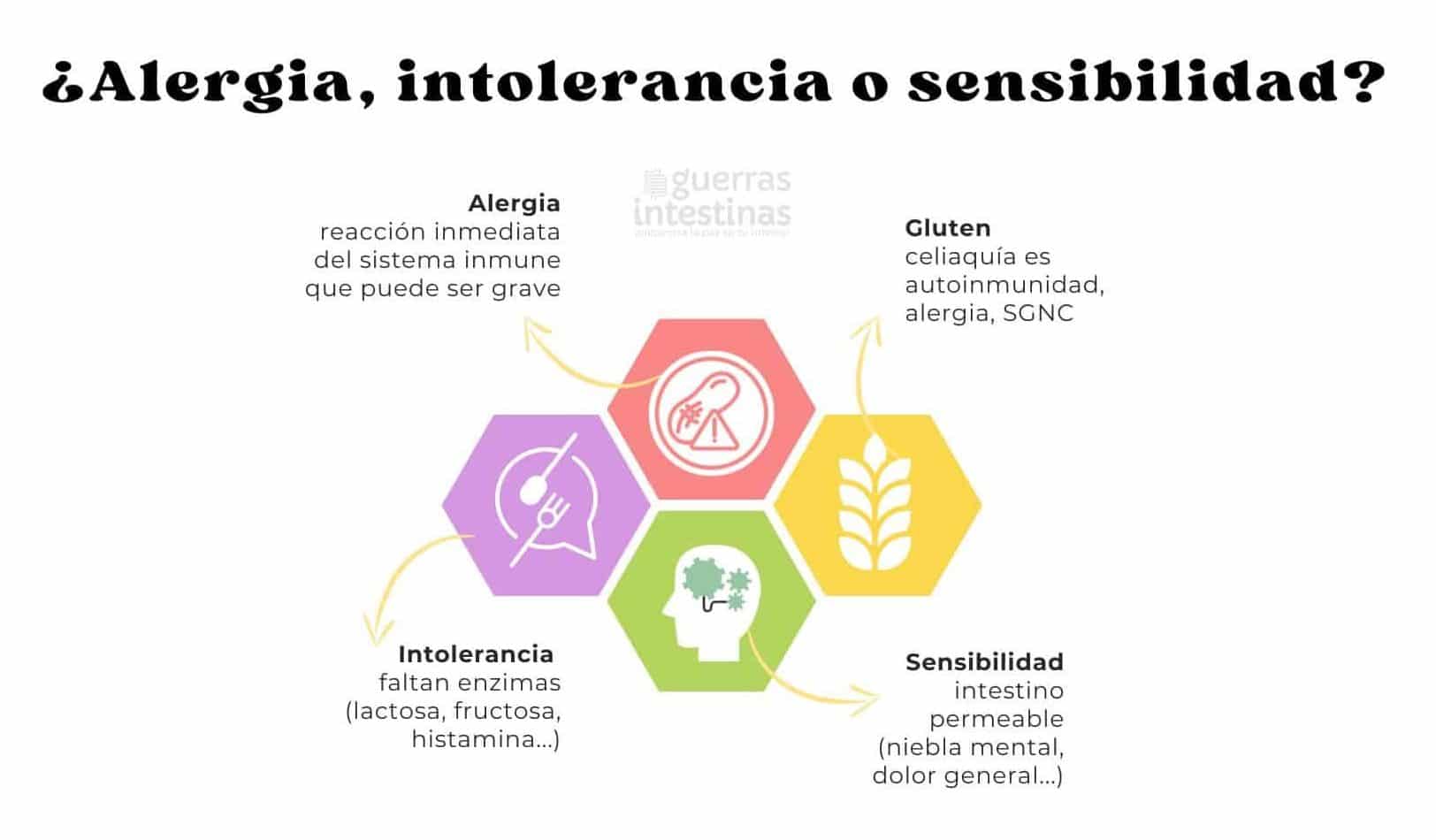 alergia intolerancia sensibilidad alimentaria diferencia entre alergia, intolerancia y sensibilidad alimentaria